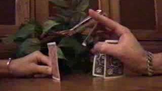 Card T-Rex