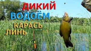 Рыбалка на поплавок.ЛИНЬ,КАРАСЬ... ДИКИЙ ВОДОЁМ.
