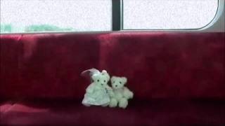 【自作】結婚式オープニングムービー