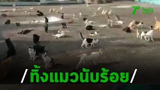 พระเชียงใหม่เดือดร้อนหนักโยมนำแมวทิ้งวัดนับร้อย | 20-02-63 | ข่าวเย็นไทยรัฐ