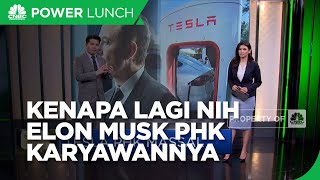 Elon Musk PHK Massal Karyawannya