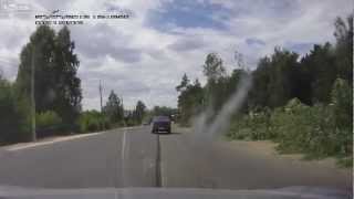 Повалили дерево прямо на движущийся автомобиль, Timber