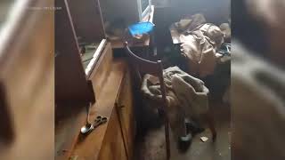 В Узловой жители жалуются на соседей, устроивших в квартире «бомжатник», а в подъезде – туалет