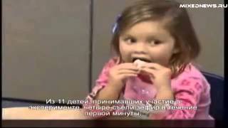 Знаменитый эксперимент с зефиром !