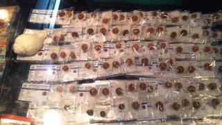 100% Original Nepal Rudraksha | Rudraksha Shop in Ahmedabad | 1 Mukhi to 25 Mukhi Rudraksha