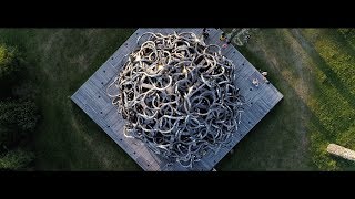 Обрывки памяти — Никола Ленивец