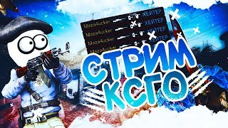 ПРЯМОЙ ЭФИР/Cs Go/Розыгрыши/Поднимаем Званку/Вебка/Прятки и т.д,)))