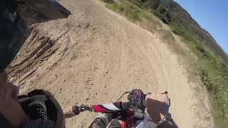 forza 155z pitbike
