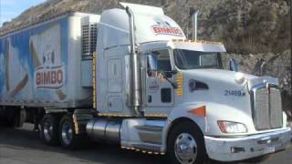 TRAILERS ARREGLADOS