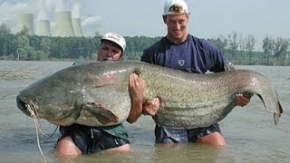сом Рыбалка секреты ловли сома секреты рыбалки _ secrets of catching catfish