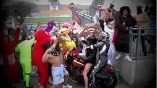 Zebre Rugby Harlem Shake