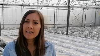 Vers une agriculture biologique généralisée