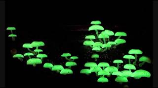 Parasense Live Set BOOM Festival 2014