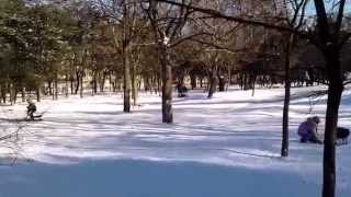 Одесса. Зимний парк, январь 2014г.