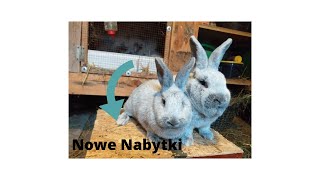 Nowe Nabytki-Wieluń !!!