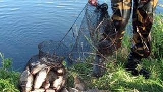 Ловля сетями, рыбалка волоком, бредни рыболовные