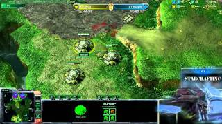 Beastyqt T vs Z ATNDelphi