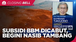 BBM Naik, Beban Produksi Tambang Meningkat?