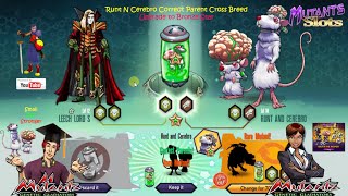 Run N Cerebro Correct Parent Cross Breed - How to Upgrade to Bronze Star