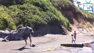 Funny Animal Mating - Funny Videos Of Stupid People Doing Stupid Things