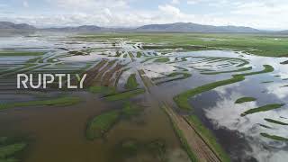 Bolivia: Flooding in La Paz leaves thousands affected, crops ruined