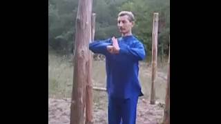 Девять дворцов багуа. Работа со столбами.