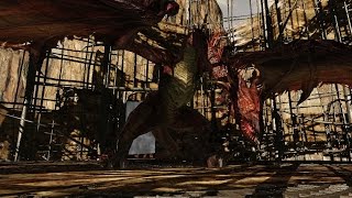 Filler clip: The Guardian Dragon boss fight-DS2