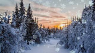Футаж Падает снег HD