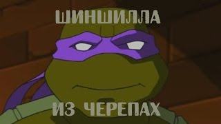 I. Шиншилла из черепах [RYTP]