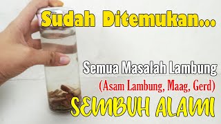 TAK PERLU BELI OBAT MAHAL... SEMUA MASALAH LEMBUNG SEMBUH SEKETIKA