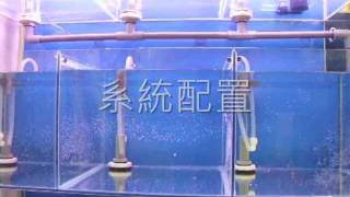 伊米亞水族設計_簡型系統缸_systematize_fish_tank