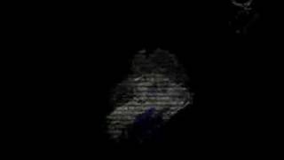 Video Maniobras