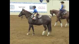 2015-03-28 Chris Cox Road to the Horse 2015 Part 1