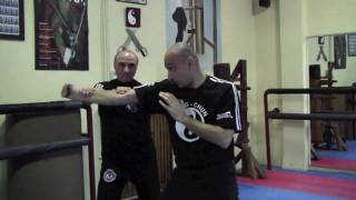 Wing Chun's Biu Jee (thrusting fingers) - Part 2 - by Master Michael G Papantonakis