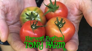 TONY FARM 『Harvest festival』
