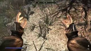 Elder Scrolls V - Skyrim recast Конченая орчья баба