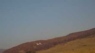 tiger  trainer   fly  emergency landing
