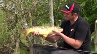 Pellet Waggler Fishing with Steve Ringer