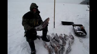Рыбалка в Забайкалье