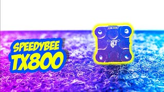 Видеопередатчик с радиатором, маленький, но мощный + ИТОГИ розыгрыша! [Speedybee TX800]