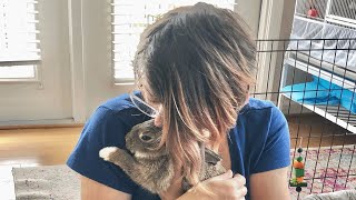 This disabled bunny was dumped in a box. A woman decided her life was not worthless.