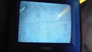 Fish cam catch