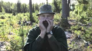 Prata med älgar