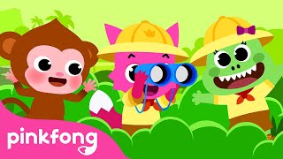 En Búsqueda de la Familia de Bebé Mono | ¿Cuál es tu Decisión? | Pinkfong Cuentos Infantiles