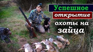 Успешное открытие охоты на зайца 2019