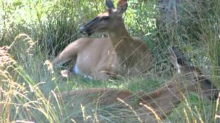 Scenery Photos from Wayne Etmanski Outdoors