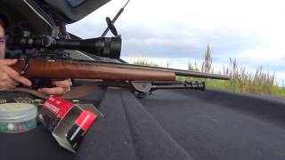 cz-452 varmint 22.lr на 100 метров часть 1