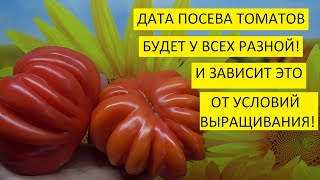 Посев томатов. Когда сеять томаты? Высчитываю дату посева самых первых томатов в 2022 году.
