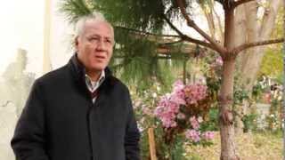 Yörük Ali Efe belgeseli