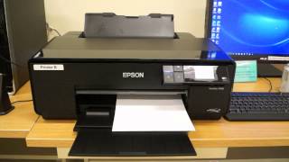 Nozzle Check on Epson p600 Printer GVCC